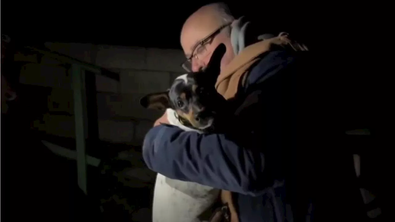 Guardia Civil Rescata Perrita en el Embalse del Jándula