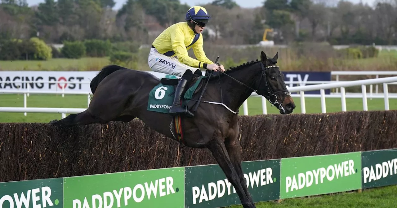 Marine Nationale Set to 'Bloom Again' in Leopardstown Chase