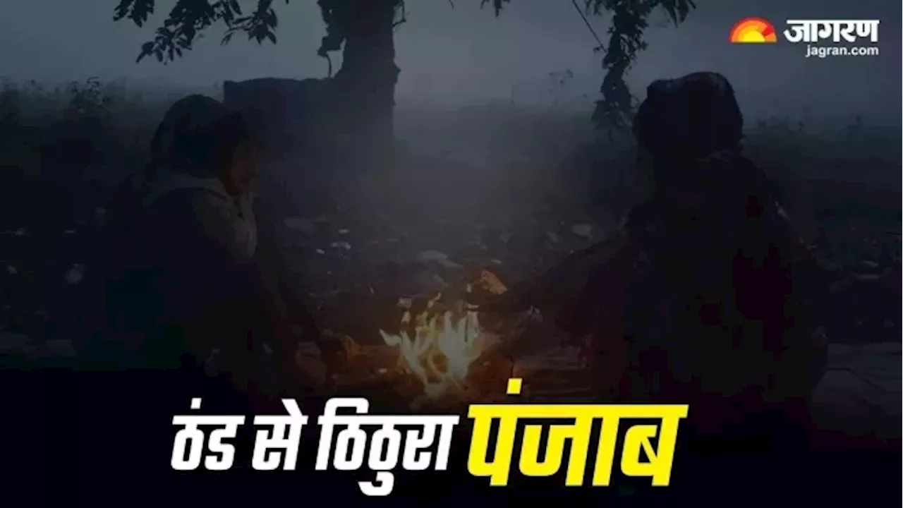 Punjab Weather: पंजाब में कंपा देने वाली ठंड, फरीदकोट में शून्य पर पहुंचा पारा; मौसम विभाग ने जारी किया येलो अलर्ट