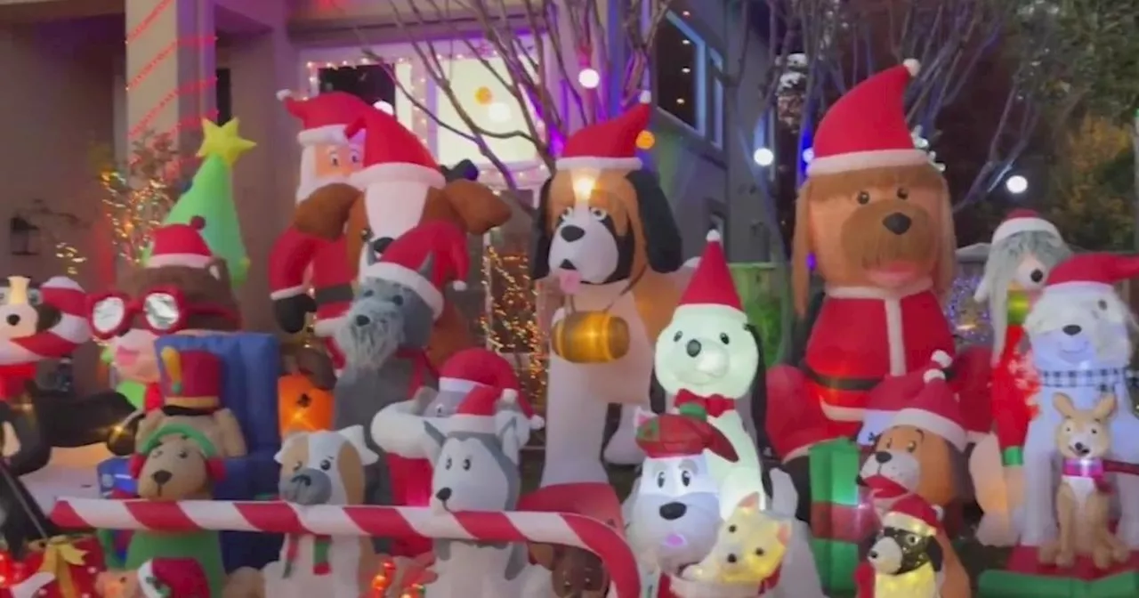 Doggone Delightful: Livermore Home Becomes Holiday Hotspot with Canine-Themed Lights