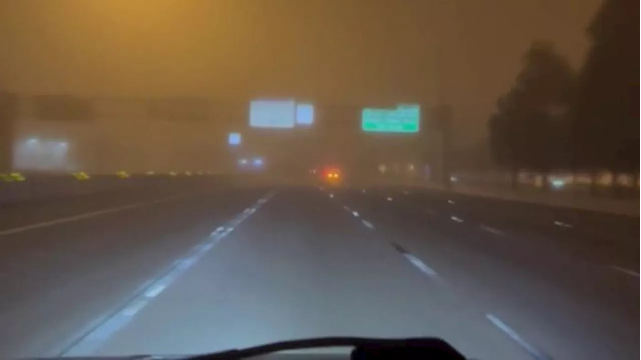 Navigating Fog Safely While Driving