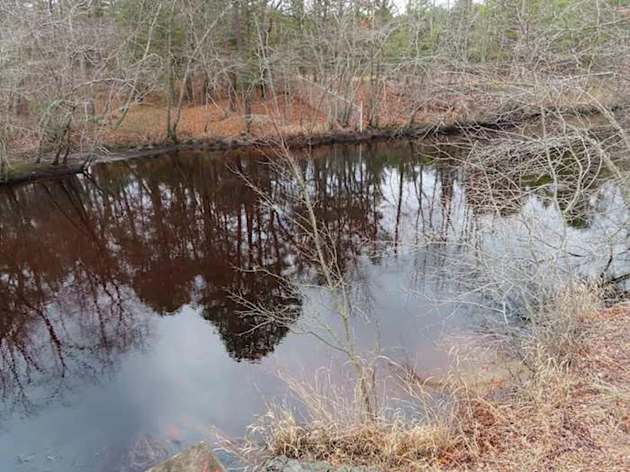 Toms River: One of America's Worst Toxic Waste Sites