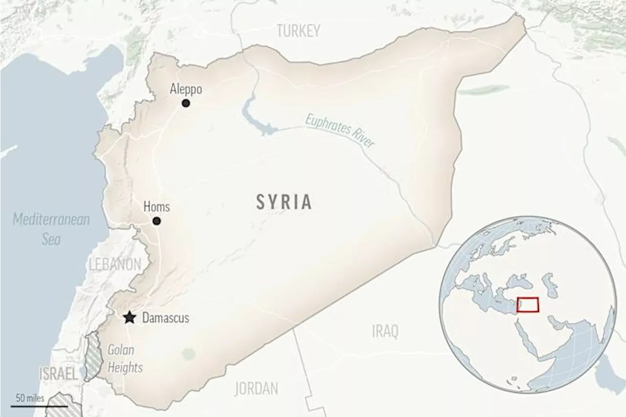 UN Migration Agency Head Reassured by Syria's New Government Commitments