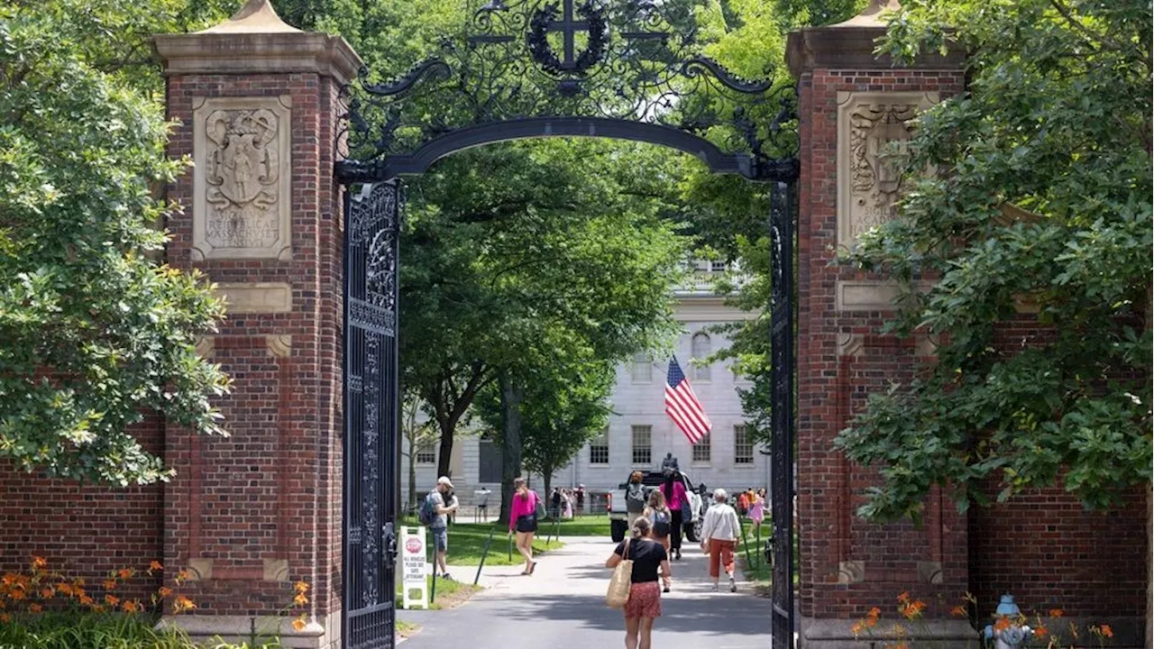 Black enrollment at Harvard Law down following affirmative action ruling