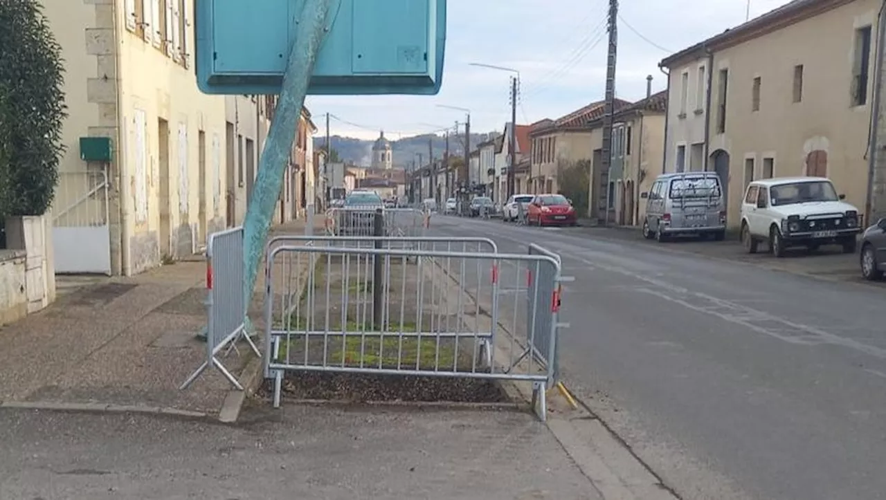 Les érables avenue Edmond-Bergès à Vic-Fezensac vont être remplacés