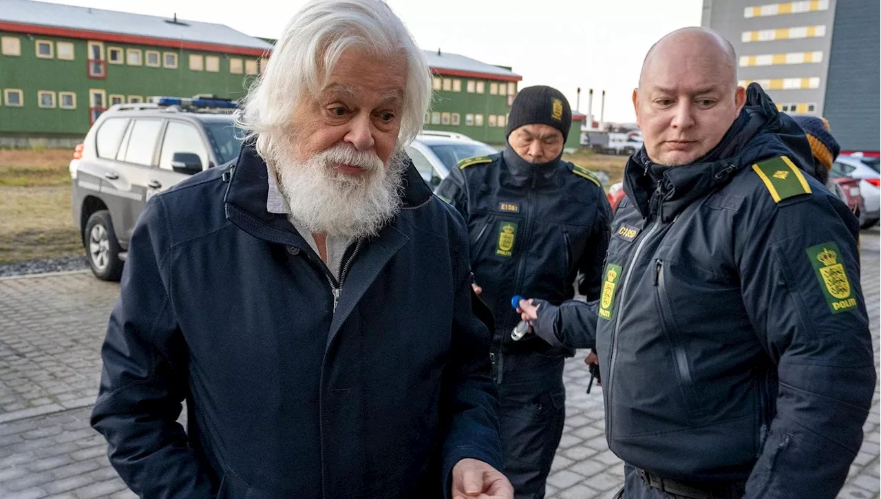 Paul Watson Libero: L'Attivismo Anti-Balene Viene Ricompensato