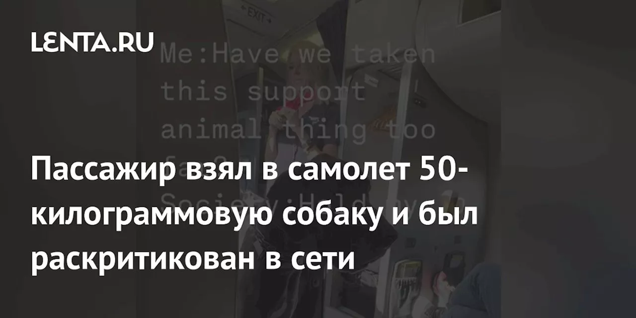 Собака-нейротик в самолете: лайф-коуч с огромным псом вызвал скандал в сети