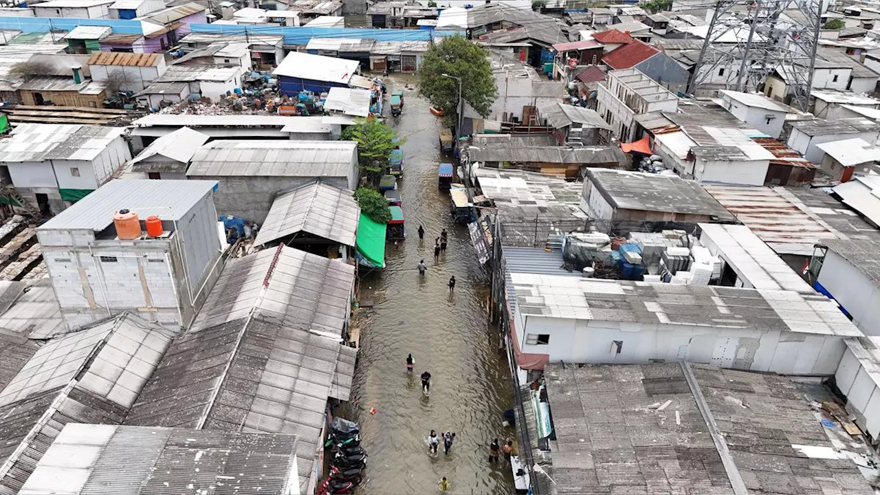 BPBD Jakarta Siapkan Mitigasi Evakuasi Menangani Banjir Rob di Muara Angke dan Pluit