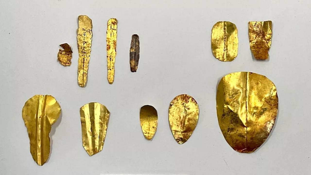 13 Ancient Mummies with Gold Tongues and Nails Found in Egypt