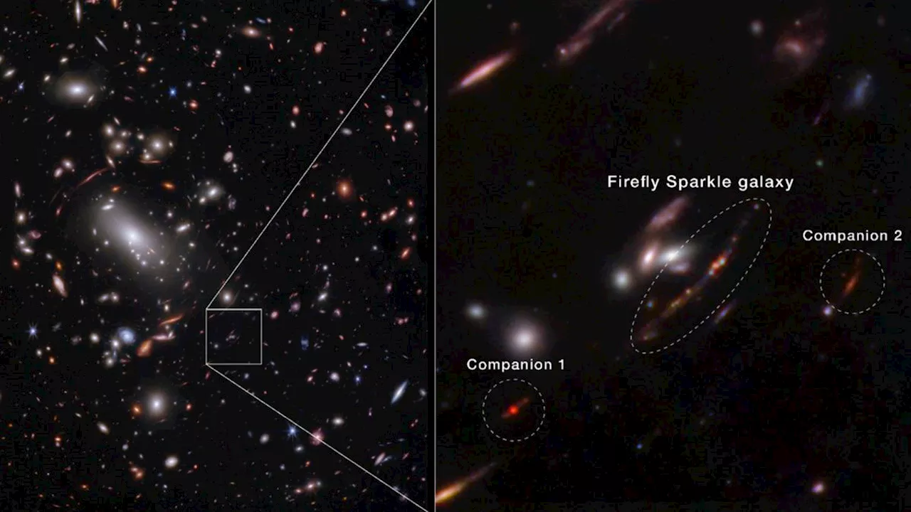 Astronomers Spot Baby Galaxy 'Firefly Sparkle' Using JWST