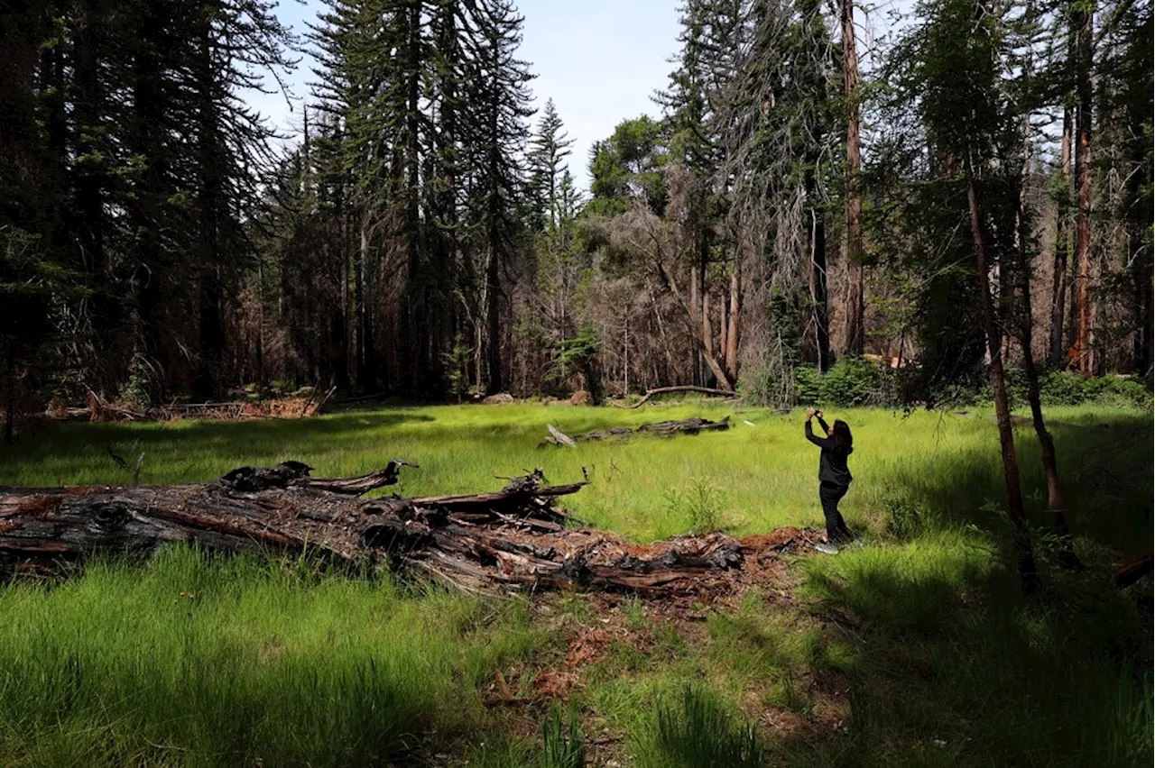 California State Parks Offer Guided Hikes for New Year's Day