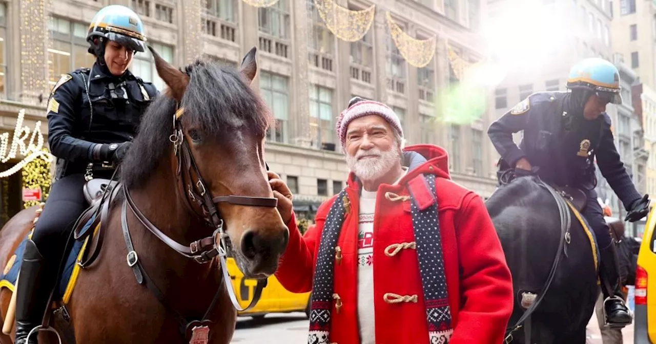 Arnold Schwarzenegger, 77, is the absolute spits of Santa with great big bushy beard