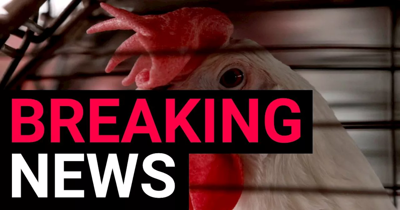 First severe bird flu case confirmed in US