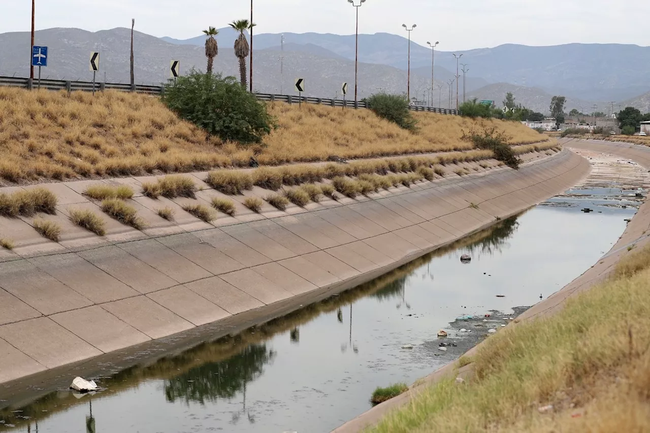 La Laguna recibirá agua con 'mini ciclo' agrícola, ¿cuáles serán las consecuencias?