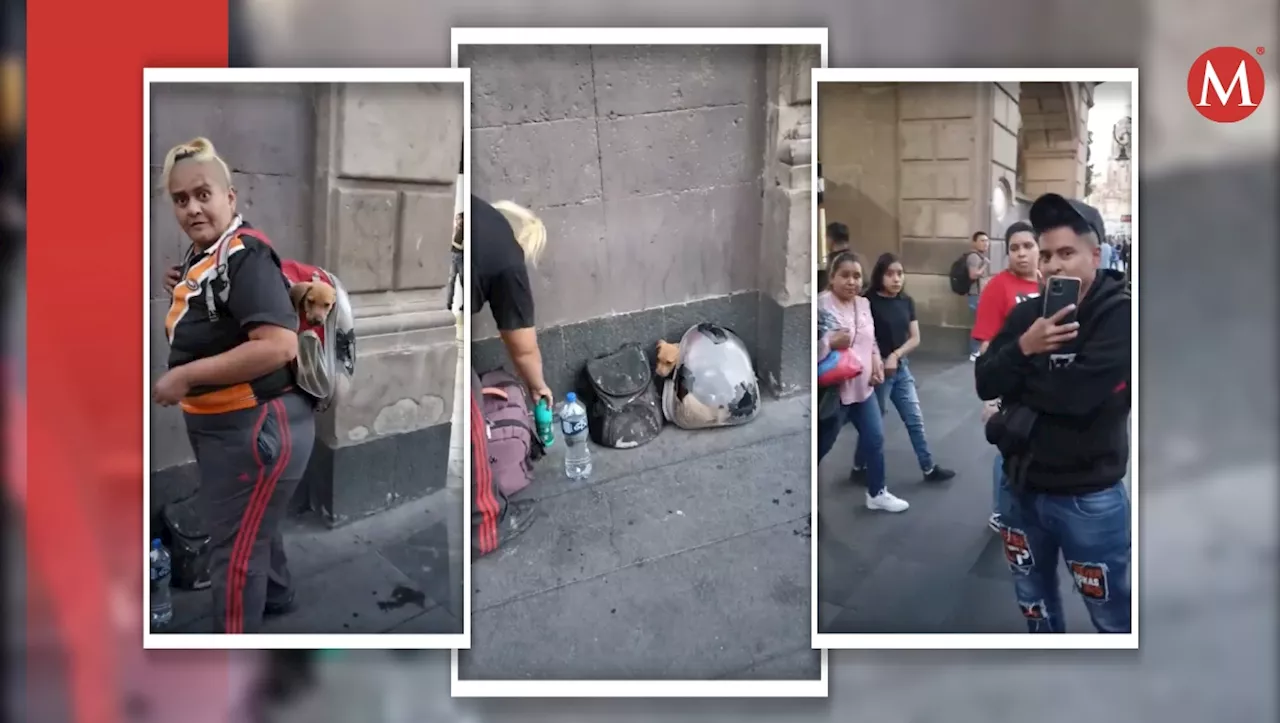 Mujer es captada drogando perritos y gatos para pedir dinero en Centro de CdMx