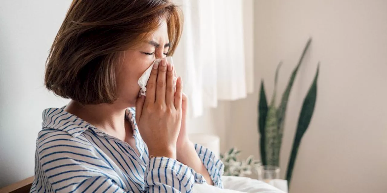 How to Stop Sneezing and What Causes It