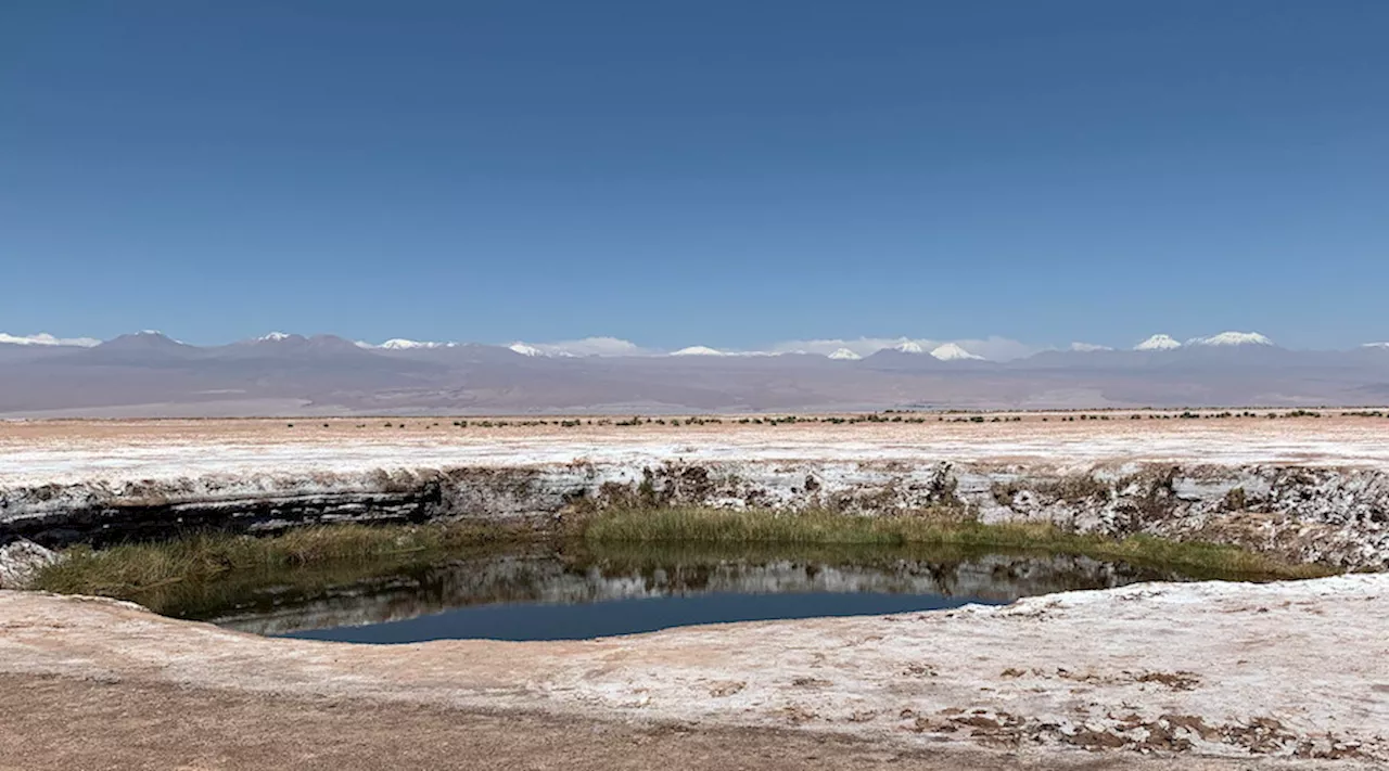 Chile’s Enami eyes lithium license in boost to partner search