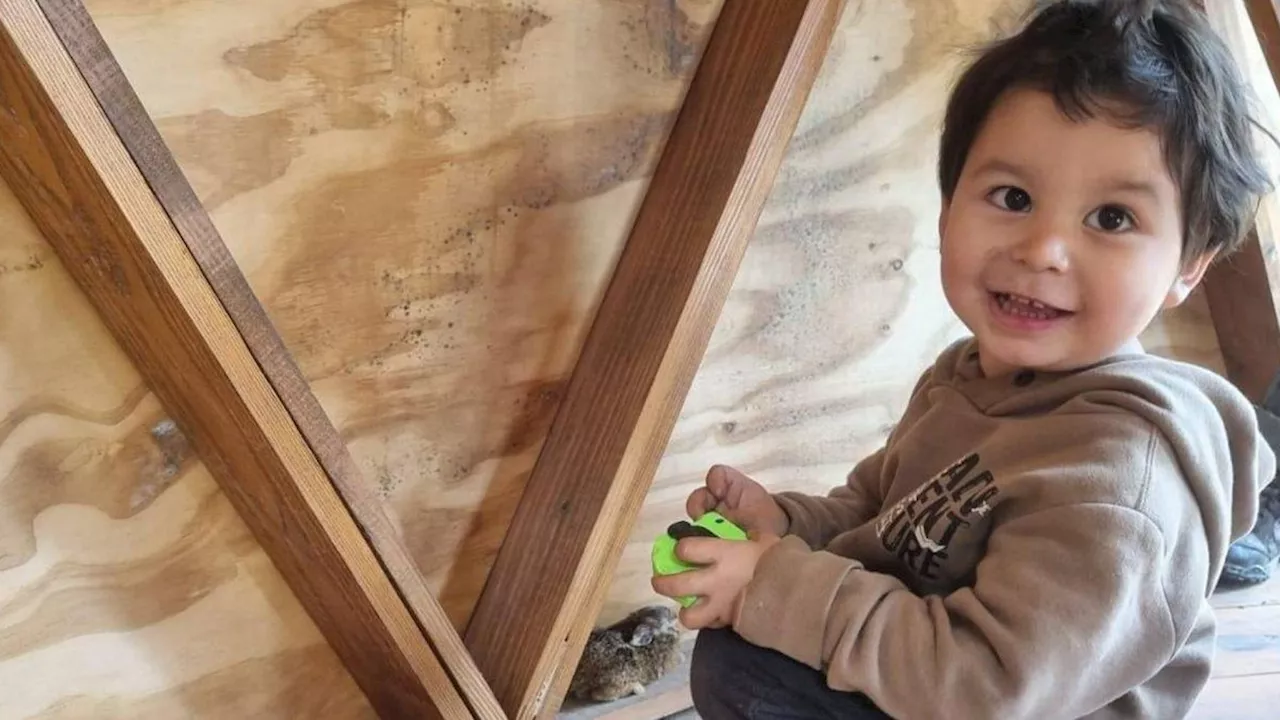 Bariloche: buscan a un nene de 2 años en el Lago Gutiérrez