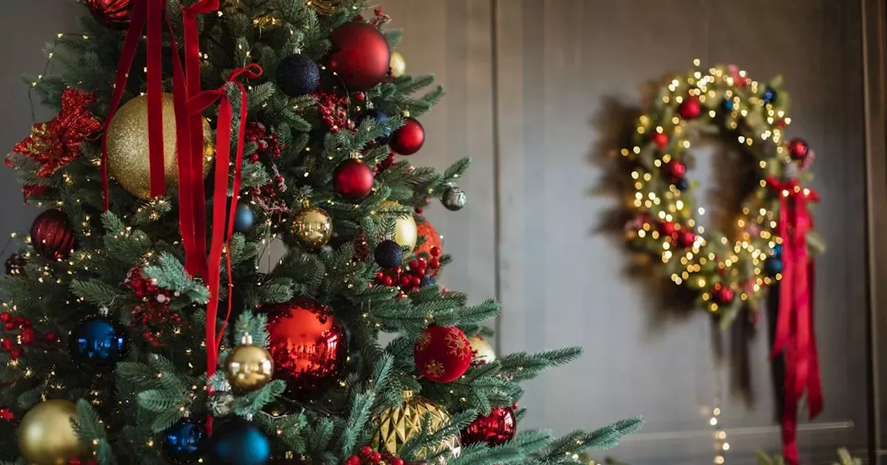 Spiders in Your Christmas Tree: How to Keep Them Away