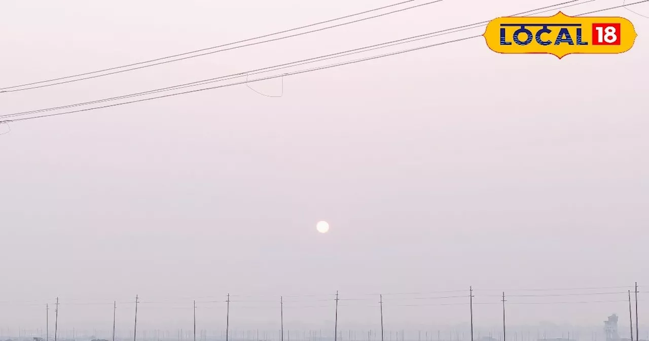 Prayagraj Weather Report: कोहरे ने बिगाड़ा शहर का मिजाज, विजिबिलिटी जीरो, ठंड से कांप रहे प्रयागराज के लोग