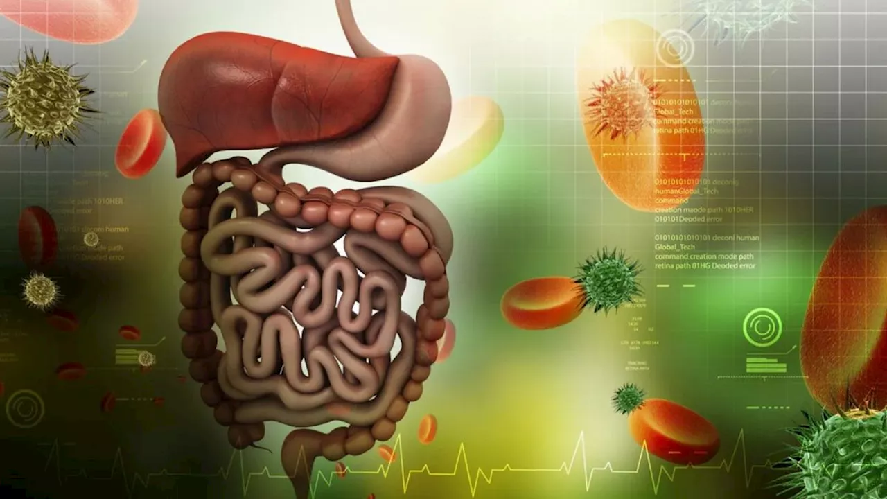 पाचन तंत्र को बेहतर बनाने के लिए 5 हेल्दी चीजें