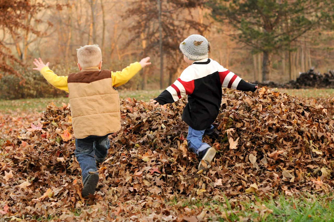 Children's Happiness Declines in Ireland, Report Highlights Mental Health Concerns