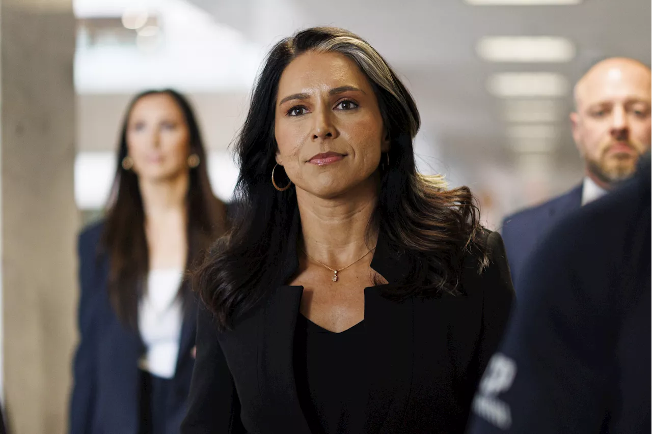 Gabbard Faces Senate Pushback in Bid for DNI