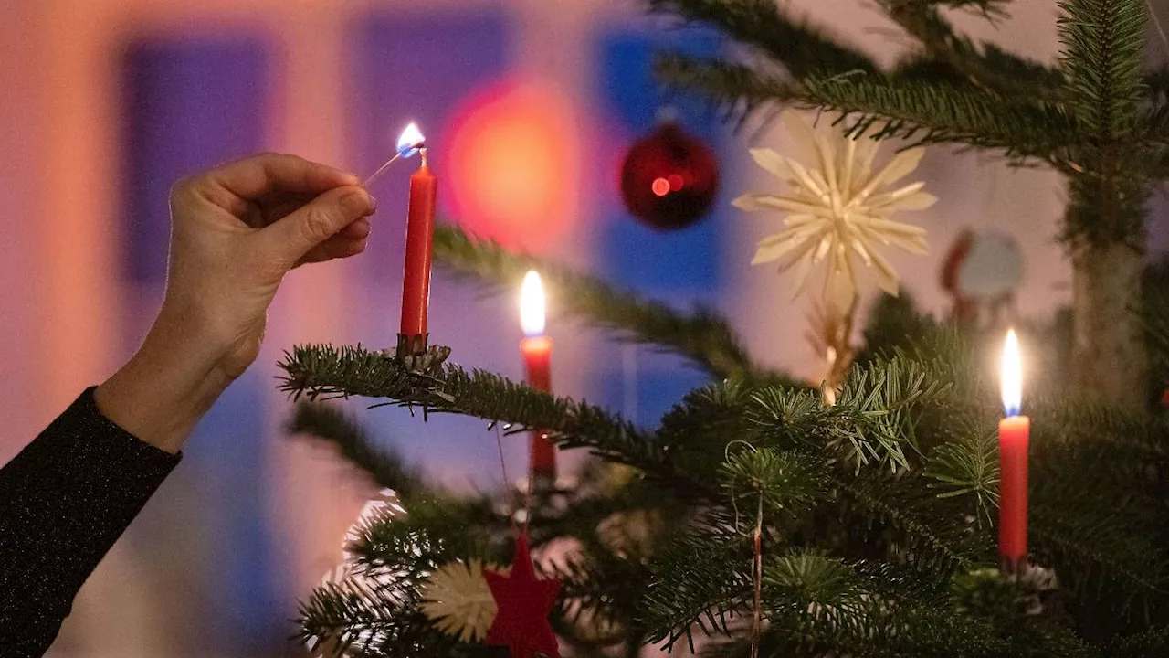 Weihnachtsbaum-Import sinkt in Baden-Württemberg