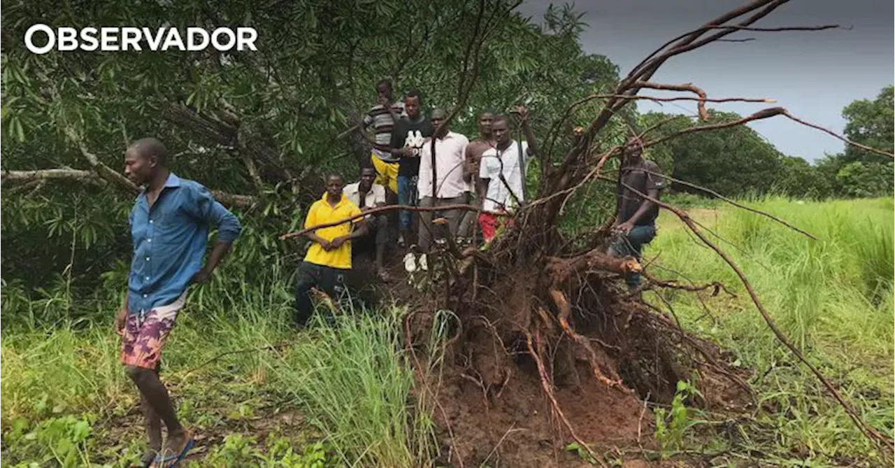 Ciclone Chido Deixa 70 Mortes e 600 Feridos em Moçambique