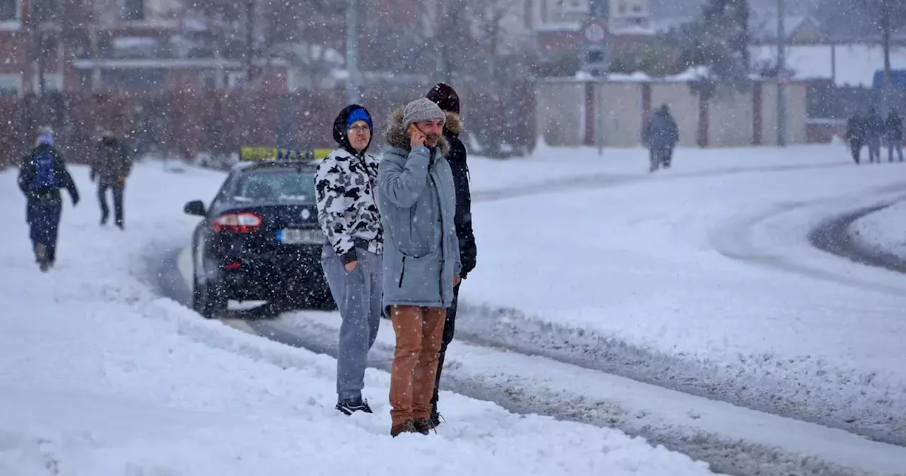 Christmas Forecast: No White Christmas in Sight