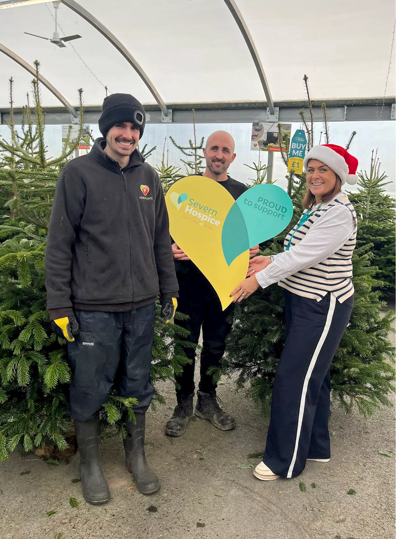 Salop Leisure to Donate £1 for Every Christmas Tree Sold to Support Severn Hospice