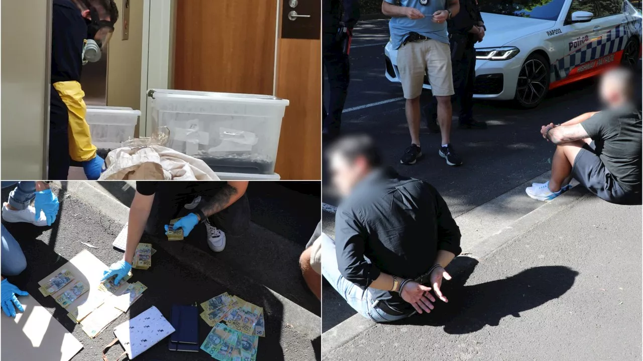 Largest Residential Magic Mushroom Lab Bust in Sydney