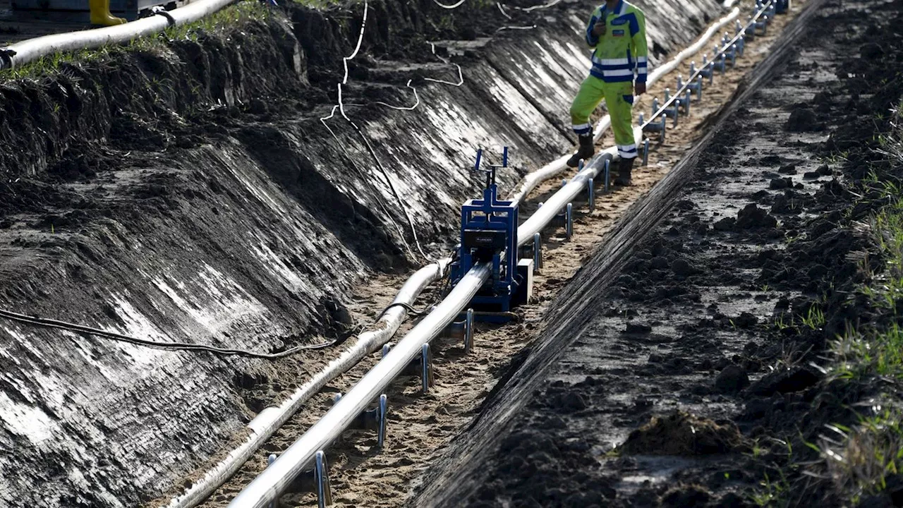 Streit um Stromtrasse Rhein-Main-Link: Hessen fordert oberirdische Verlegung