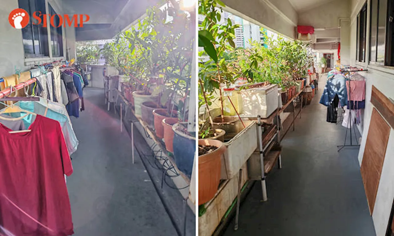 Jurong West Corridor Cluttered With Plants and Clothes, Raising Safety Concerns