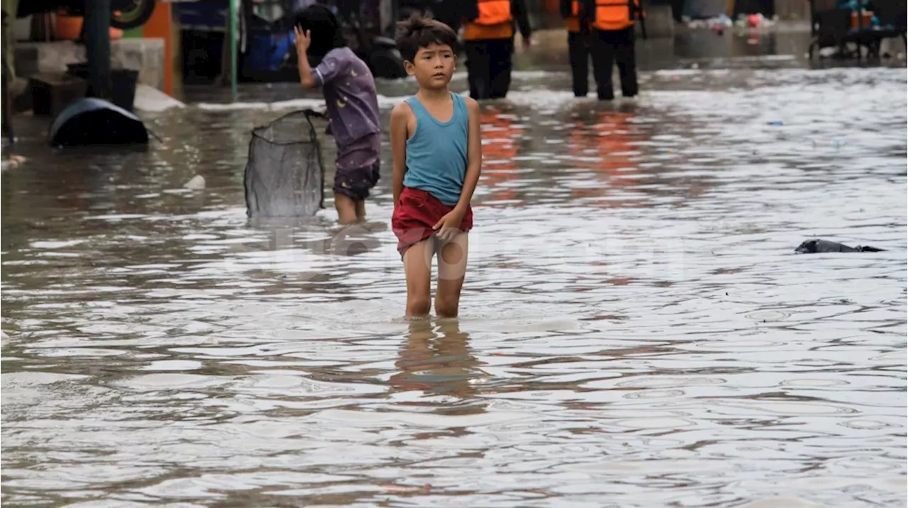 Potret Kawasan Muara Angke Kembali Direndam Banjir Rob