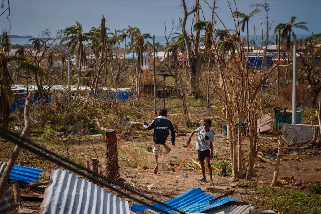 Cyclone Chido à Mayotte : « La catastrophe pose à nouveau la question de l’autonomie alimentaire du territoire »