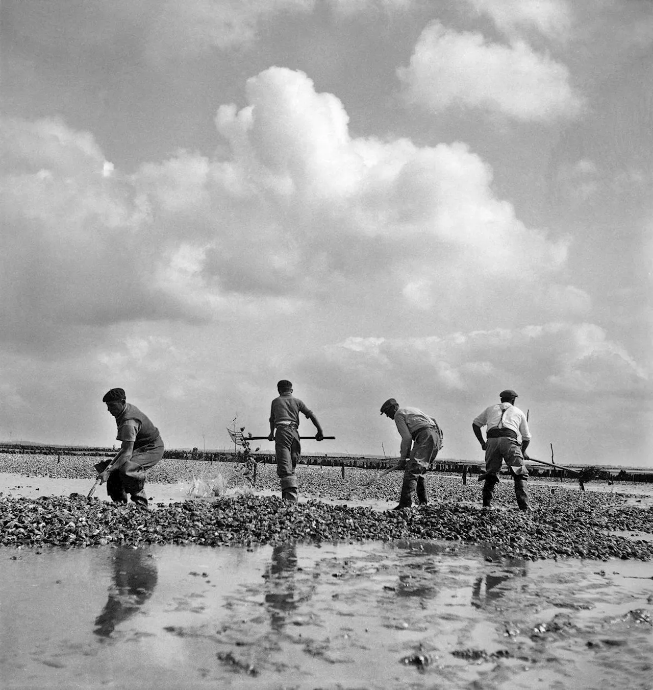 Les Charentes des Grands Photographes