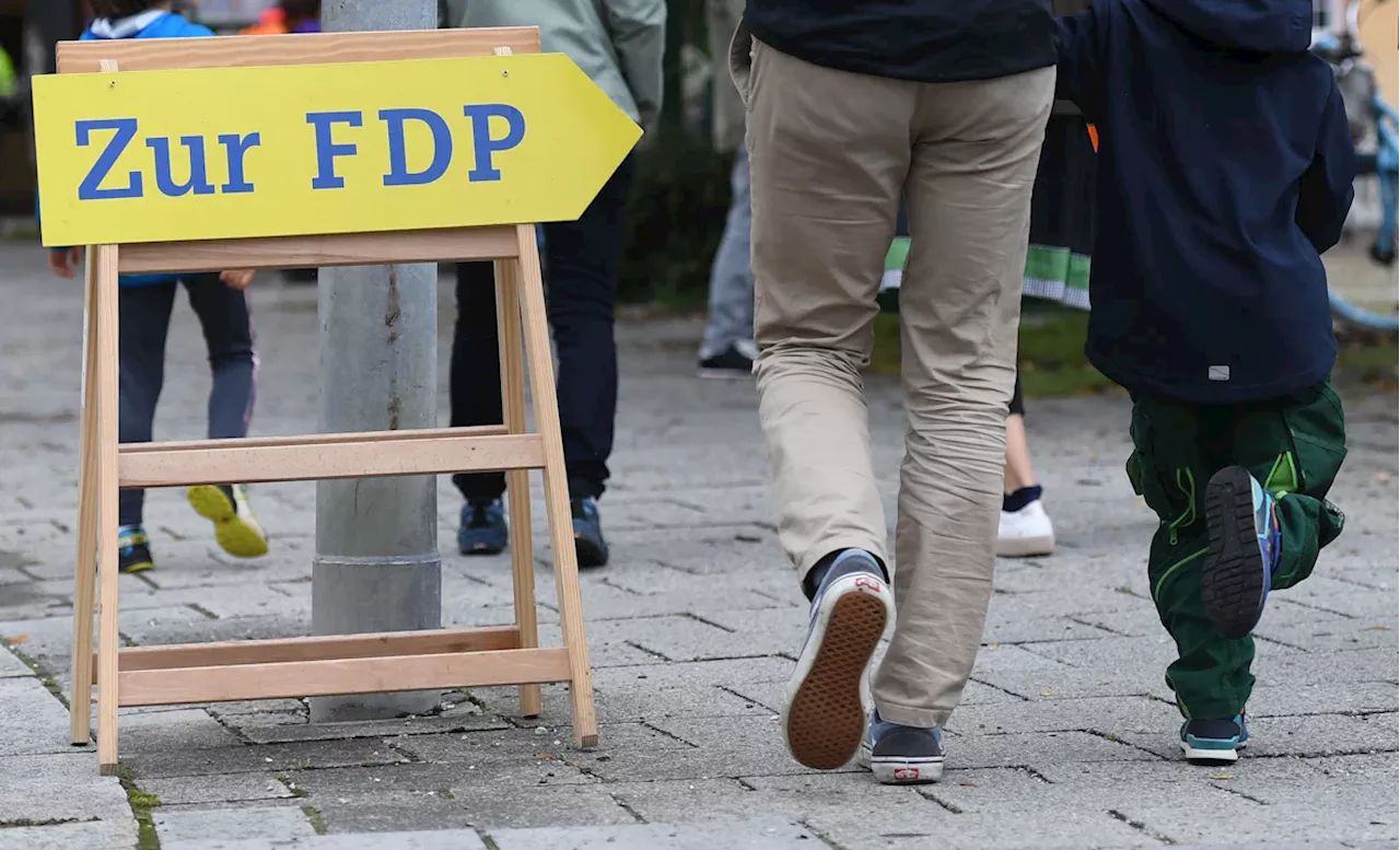 FPs bayerische Zukunft: Wieder in den Bundestag?