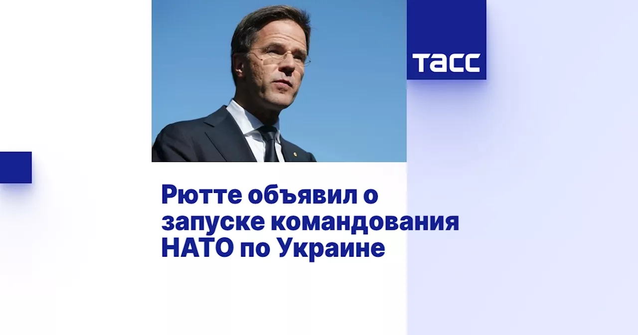 Генсек НАТО подтвердил мини-саммит по Украине и призвал лидеров стран альянса 'меньше говорить о мире'