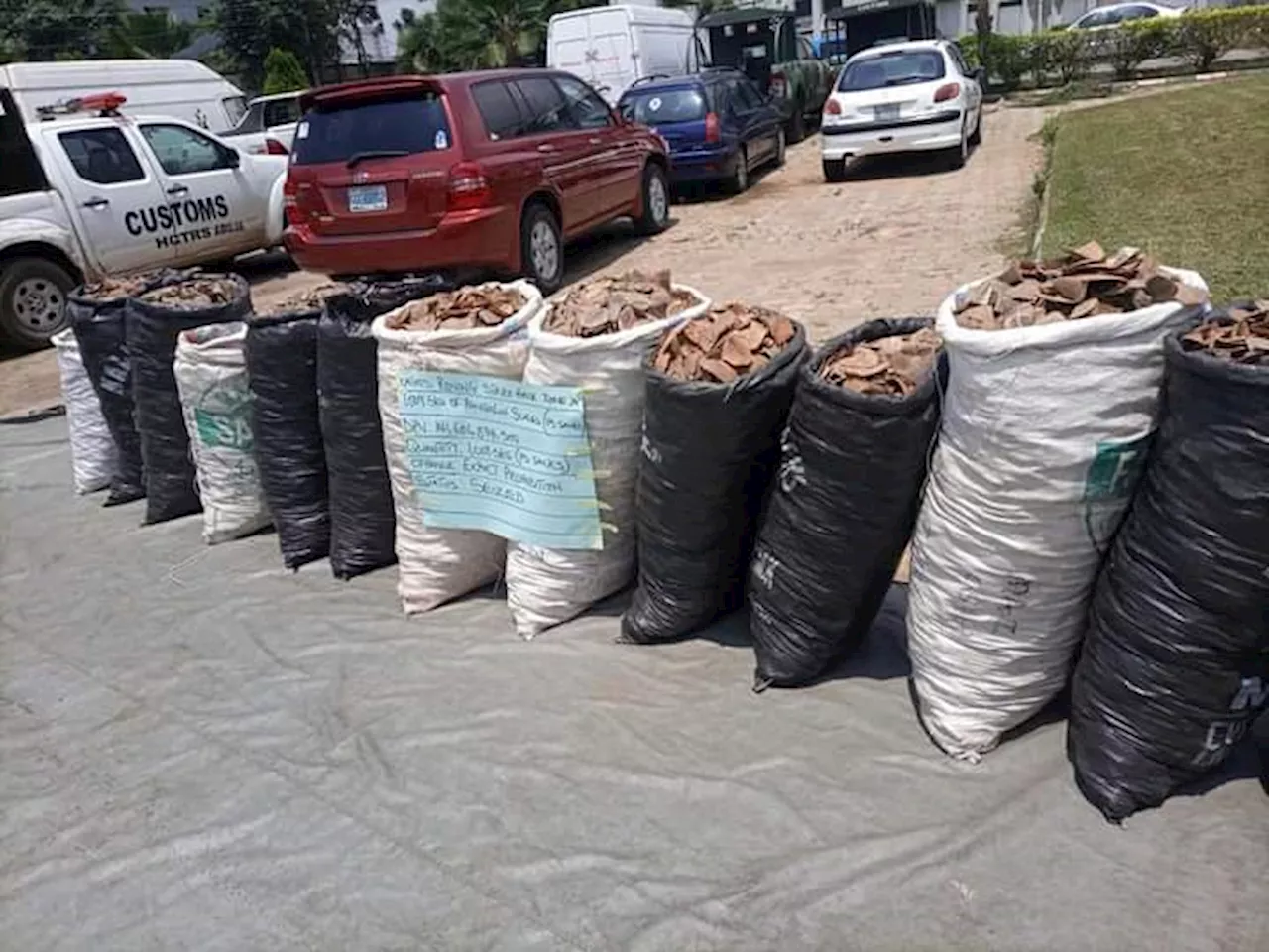 Nigeria Customs Seizes 2,179 kg of Pangolin Scales in Joint Operation