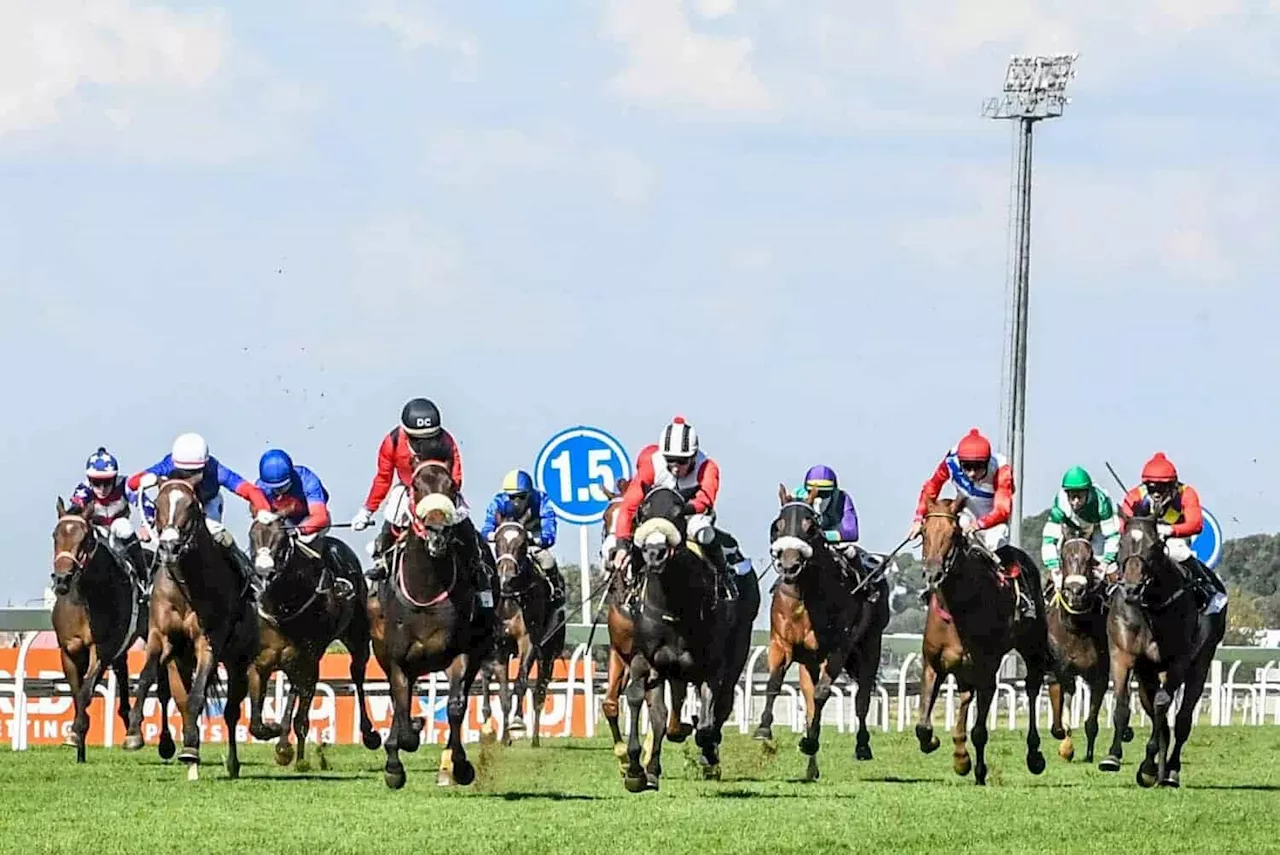 Care Forgot Aims for Vaal Victory