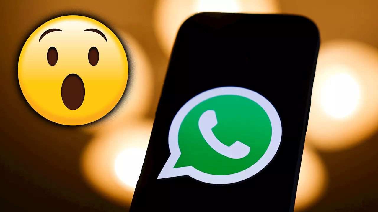 WhatsApp Users Outraged Over 'Dumbest Feature' - Smart Reply Boxes