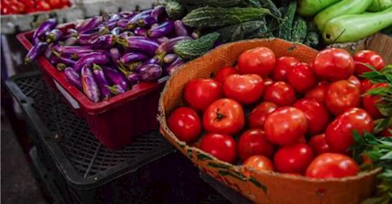 Vegetable prices expected to stabilise March next year