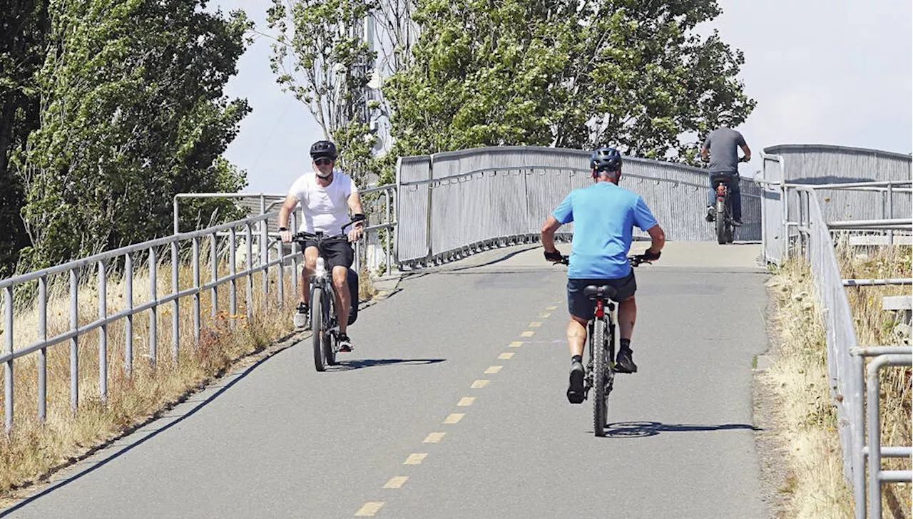 Windstorm Closes Sooke Trail, Causes Flooding and Power Outages