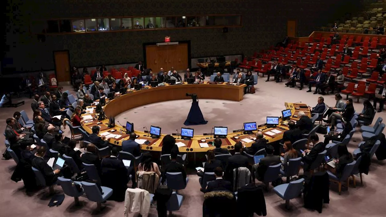 UN Security Council Urges Calm and Political Solution in Syria