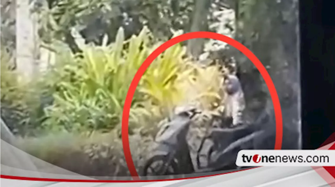 Sejoli Tertangkap Video Mesum di Area Parkir Gor Sasana Krida