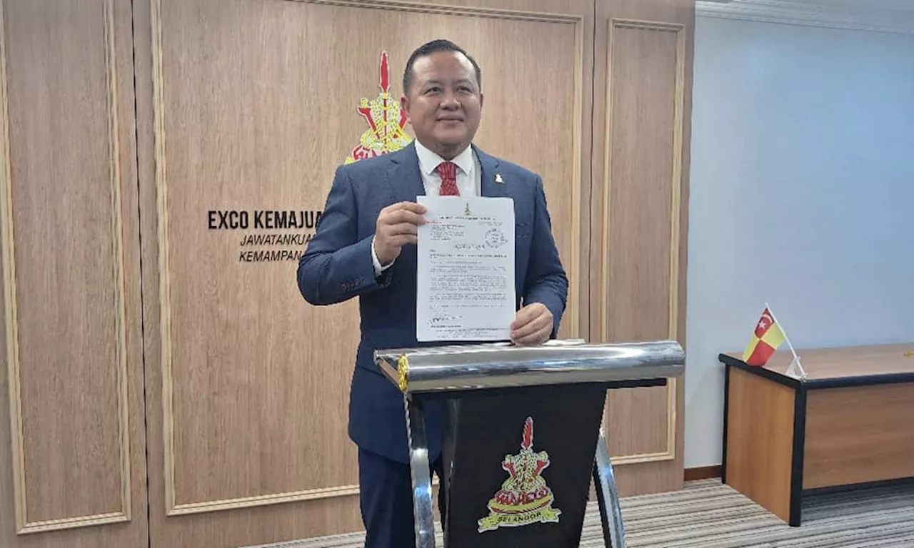 Selangor Orders Removal of Over 1,000 Cattle Roaming Freely