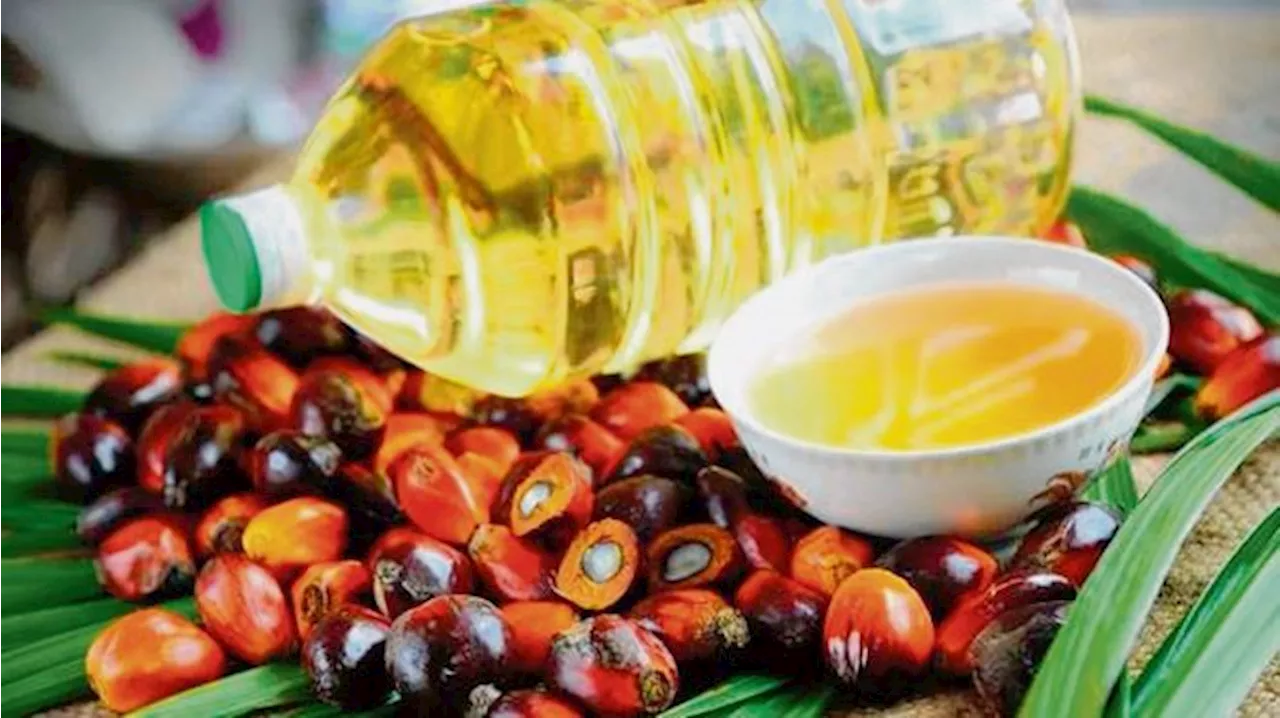 Soybean Oil Recovery to Support Palm Oil Prices in December