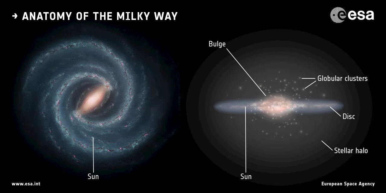 New Research Sheds Light on the Formation of Galactic Bulges