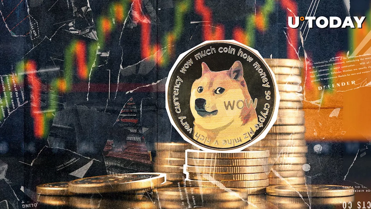 Dogecoin Liquidations Reach 1,209% More Longs Than Shorts